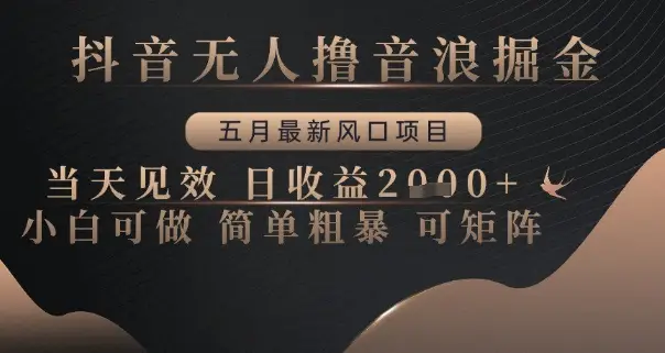 抖音无人撸音浪掘金，五月最新风口项目，当天见效，日收益多张，小白可做简单粗暴可矩阵【揭秘】